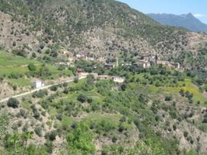 صورة من قرية  كريمة