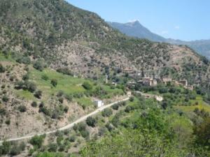 قرية  كريمة  في فصل الربيع