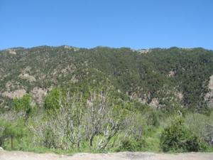 جبال بلدية  المروج  في فصل الربيع