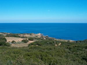 منظر جميل من غابة  المزيرع