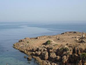 صورة من ساحل  القالة  انطلاقا من نزل  المنار