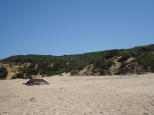 شاطئ  بوطريبيشة