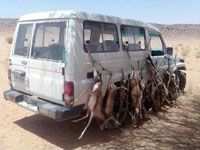 تحطيم البيئة بسبب الصيد التعسفي بولاية  ورڨلة