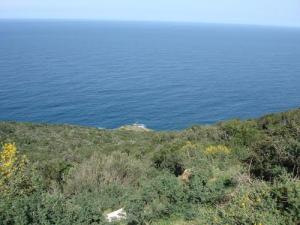 ساحل بلدية  القالة