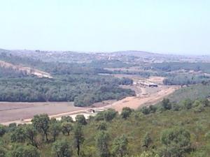 الغابات المجاورة لمدينة  الطارف