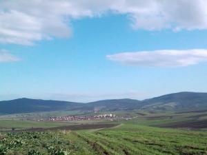 منظر من ضواحي بلدية  شافية