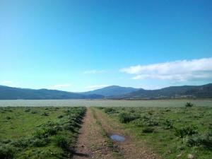 منظر طبيعي من ضواحي بلدية  شافية