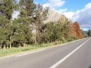 الطريق المؤدي إلى بحيرة  طونغة