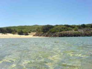 منظر من شاطئ القالة القديمة