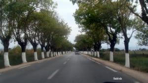 الطريق الرابط بين بلدية  القالة  و  عين العسل  (ولاية الطارف)