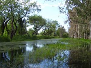 جمال الطبيعة ببحيرة  طونغة