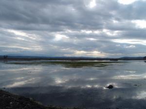 صورة من بحيرة  طونغة