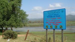 الحضيرة الوطنية لبحيرة  طونغة  (ولاية الطارف)