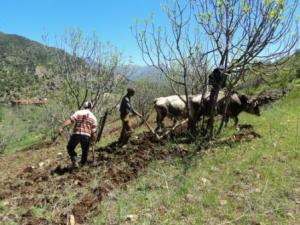 الفلاحة ببلدية  المروج