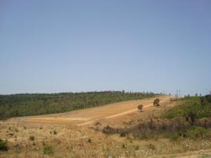 منظر طبيعي من ضواحي مدينة  الطارف