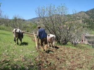 Lemroudj au printemps 2012