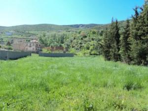 Lemroudj au printemps 2012