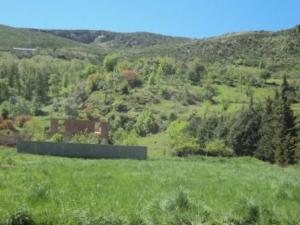 الغابات الجبلية لبلدية 