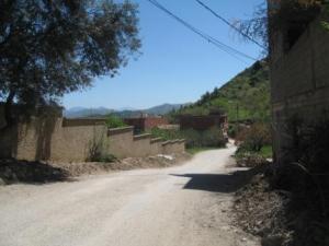 أحياء بلدية 