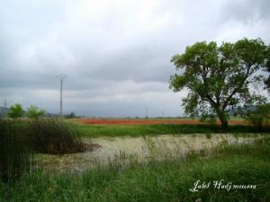 منظر طبيعي بضواحي مدينة 