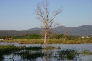 صورة من ضفة بحيرة 