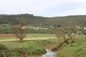 حقول زراعية بضواحي مدينة  الطارف