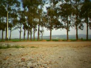 منظر ساحلي من بلدية  قورصو