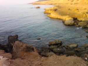 صورة لشاطئ  عشعاشة