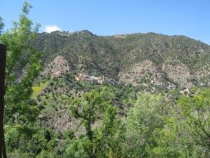 الجبال الغابية لبلدية  المروج