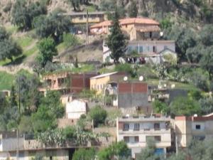 قرية  كريمة  ببلدية  المروج