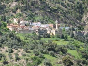 قرية  كريمة  في فصل الربيع 1