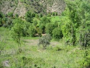 حقول بلدية  المروج  في فصل الربيع