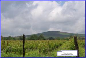 حقول منطقة  إيسر