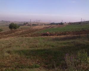 دوار  كحاحلية  ببلدية  لاربعطاش