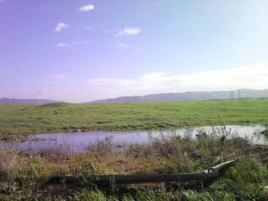 صورة بجوار  بومرداس