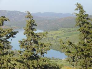 منظر خلاب من سد  كدارة