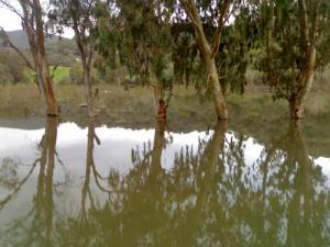 وادي ببلدية  أمال