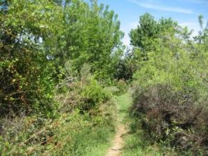 بلدية  المروج  في فصل الربيع 3