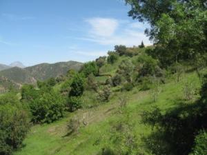 بلدية  المروج  في فصل الربيع 4