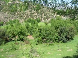 بلدية  المروج  في فصل الربيع 6