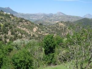 بلدية  المروج  في فصل الربيع 7