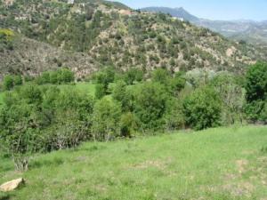 بلدية  المروج  في فصل الربيع 9