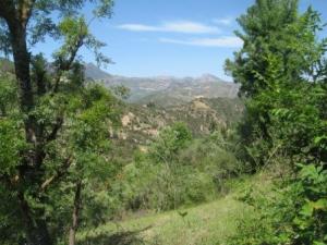 بلدية  المروج  في فصل الربيع 10