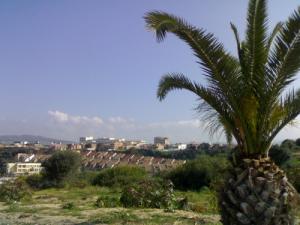 منظر إجمالي من مدينة  بومرداس