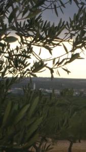 منظر إجمالي لمدينة  بومرداس