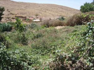 منظر من منطقة  عين ثاقب  بملوزة