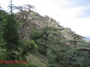 جبال منطقة  مزايتة