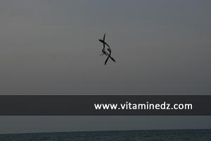 طيور  النورس  بشاطئ  البئر  (بلدية بني صاف)