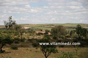 Cabane à Commune de Ain El Berd (ex Oued-Imbert