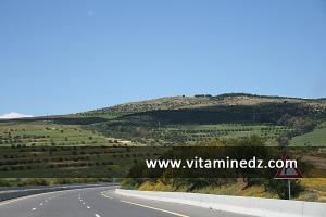 Commune de Ain El Berd (ex Oued-Imbert) ; paysages que traverse l\'autoroute Est Ouest